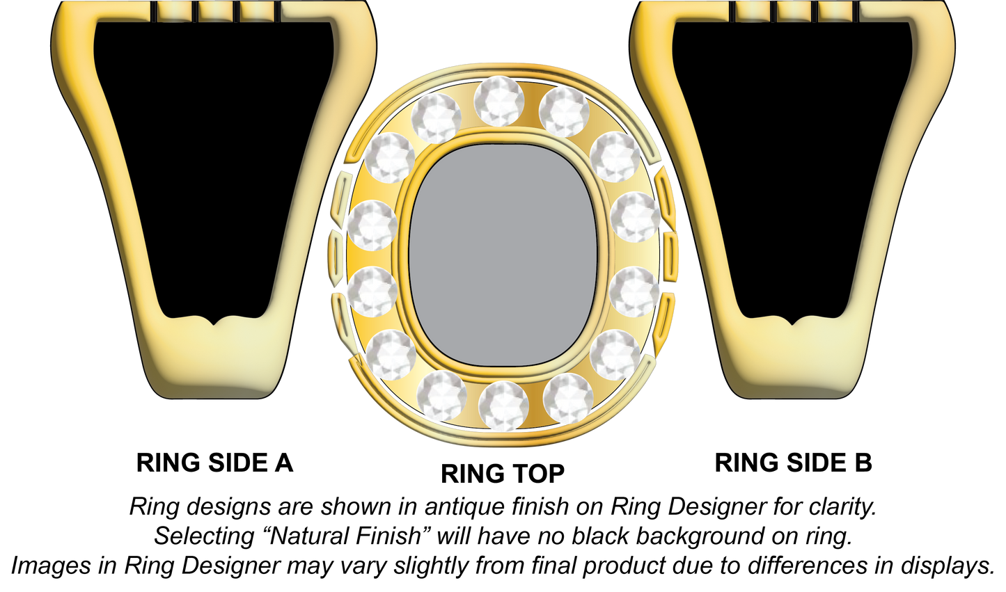 Voyager - Robertson County School Class Ring