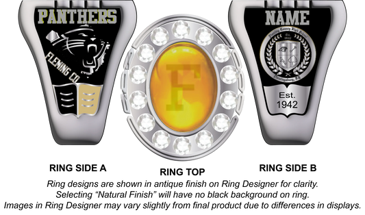 Patriot - Fleming County High School Class Ring