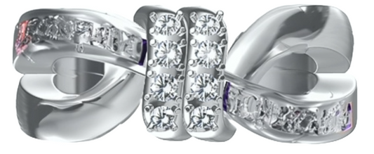 T111 - Robertson County School Class Ring