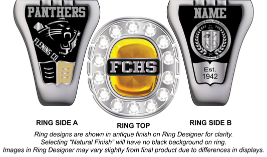 Voyager - Fleming County High School Class Ring