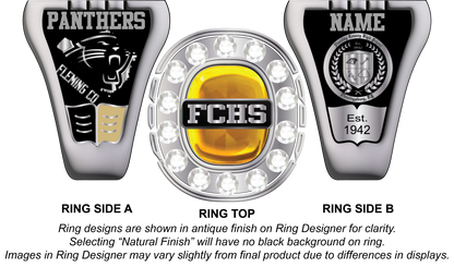 Voyager - Fleming County High School Class Ring
